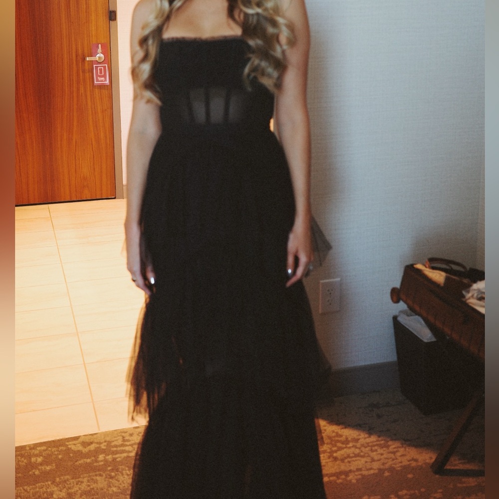 BCBGMaxAzria Black Corset Tulle Maxi Dress - Picture 5 of 6